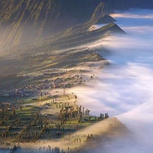 Meet your Posher, Cameron